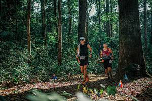 BIB: 
                            <button type="button" onclick="openModal(26078076)" class="btn btn-primary btn-sm float-right btn-popup" data-toggle="modal" data-target=".modal-high-quality">
                        <i class="fas fa-shopping-cart"></i> Add to Cart
                    </button>
                                            <button type="button" onclick="isThisMe(26078076, true)" class="btn btn-success btn-sm float-right btn-popup btn-isme hidden" data-toggle="tooltip" data-placement="bottom" title="นี่คือรูปของคุณใช่ไหม คลิกที่นี่เพื่อเอาเข้าอัลบั้ม">
                        <i class="fas fa-plus"></i> Add to album
                    </button>
                    <button type="button" onclick="isThisMe(26078076, false)" class="btn btn-warning btn-sm float-right btn-popup btn-isnotme hidden">
                        <i class="fas fa-ban"></i> Remove from album
                    </button>